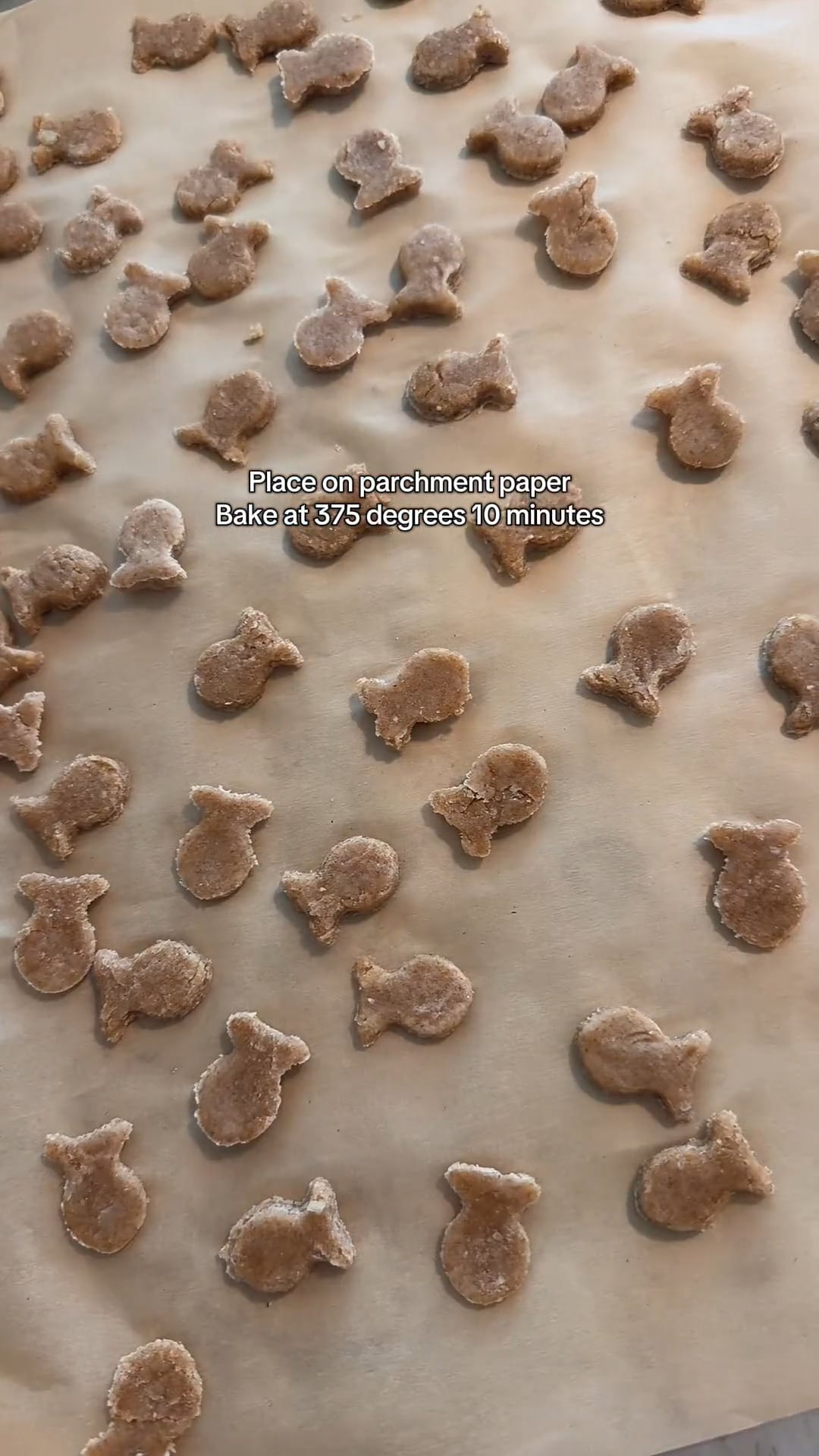 Homemade Goldfish