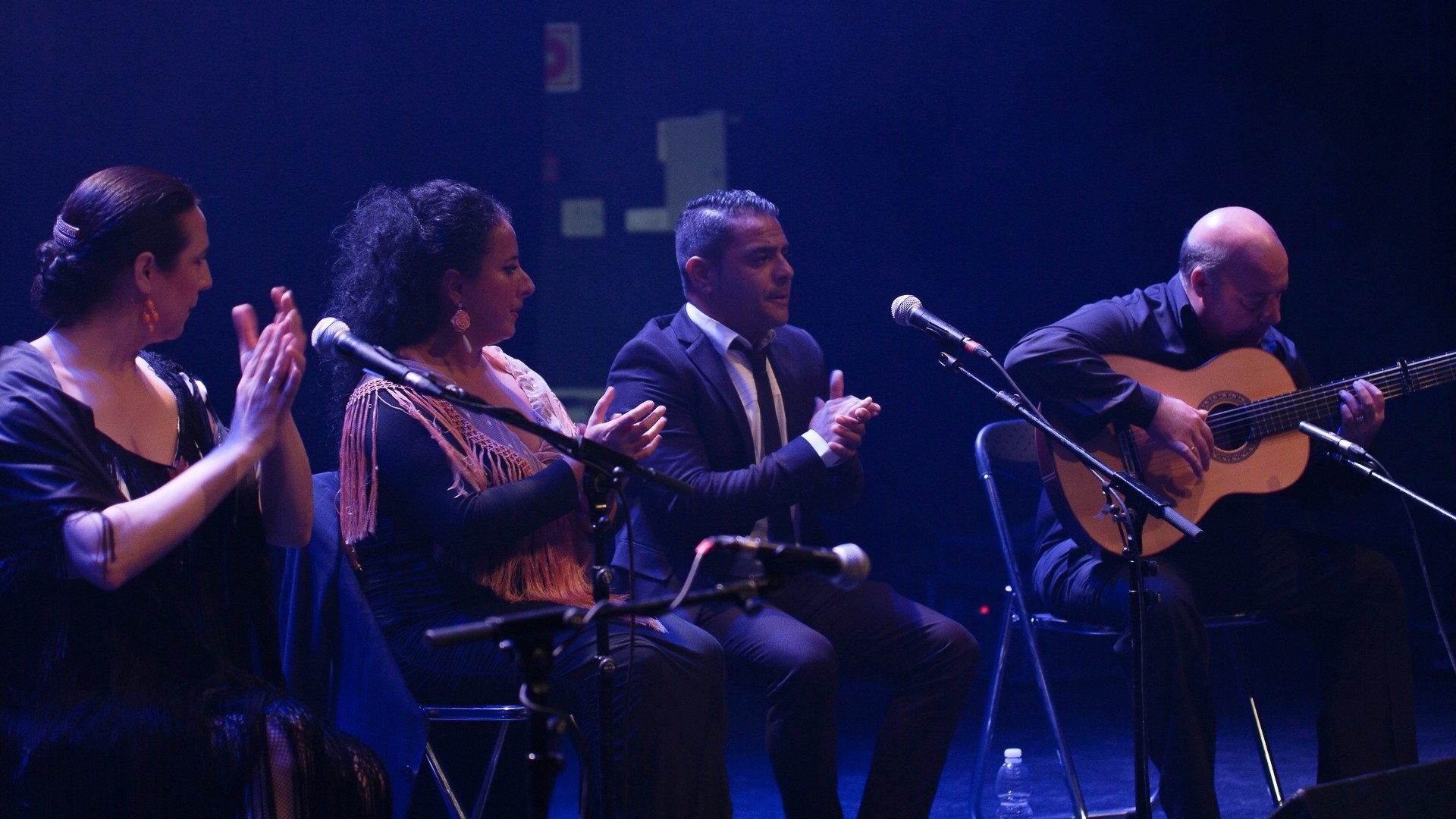 De Bulería en Bulería 2ª parte. Jerez Flamenco Internacional. Festival Flamenco