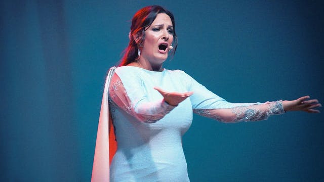 María Mezcle. II Bienal de Flamenco C...