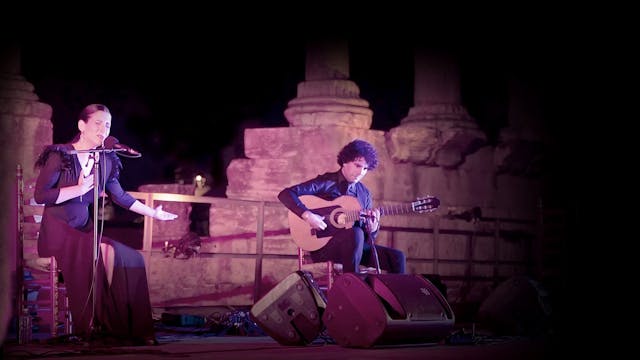 La noche del Flamenco. VI Festival Fl...