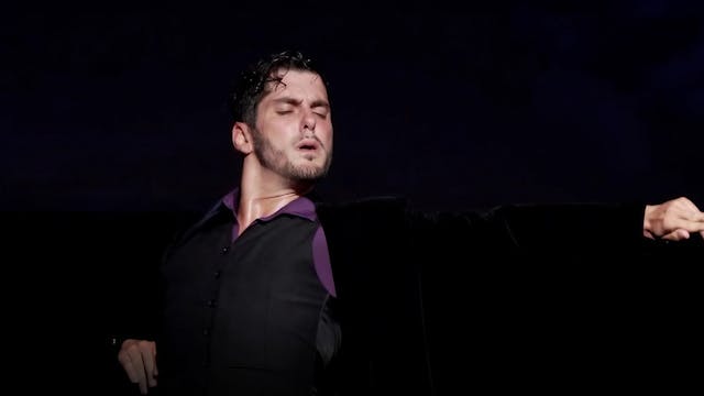 Soleá. Alberto Sellés. Recital de baile