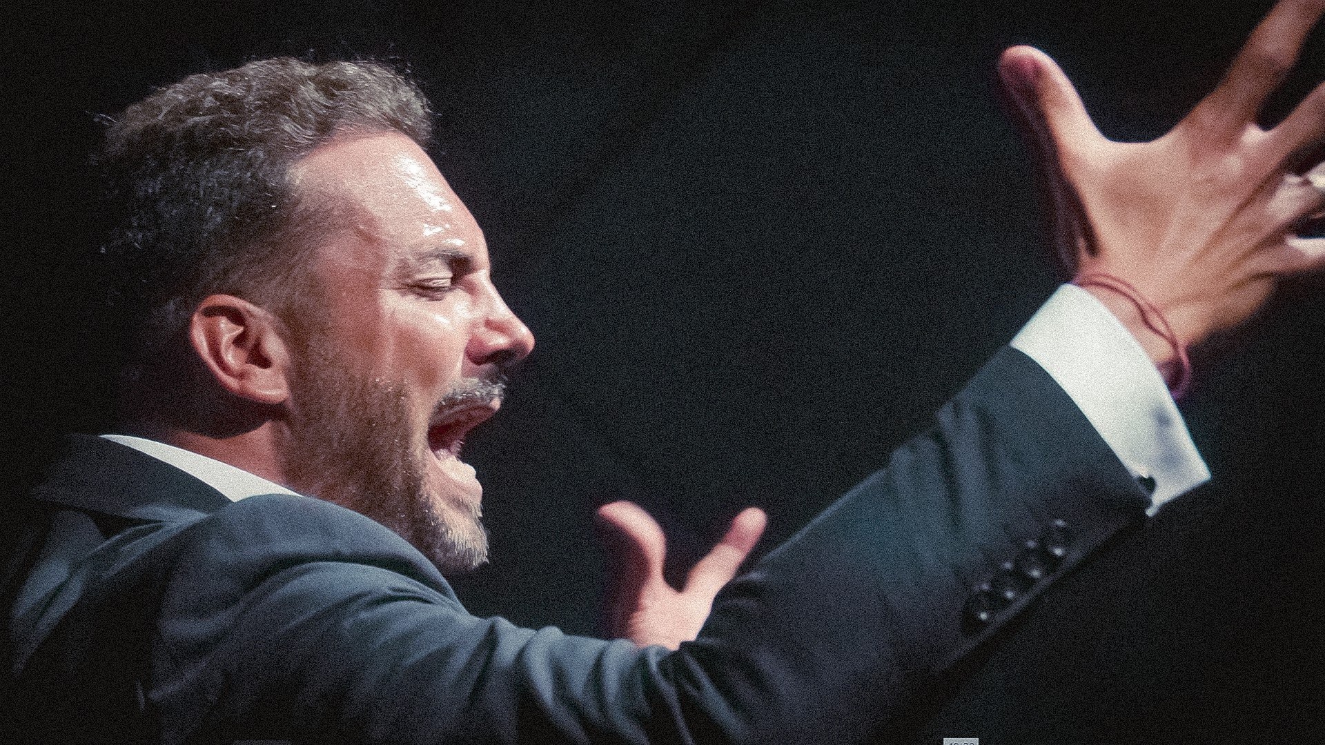 Jesús Mendez. Recital. II Bienal de Flamenco Cádiz, Jerez y Los Puertos