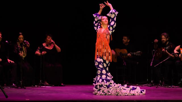VI Concurso Int. de Baile Flamenco Pu...
