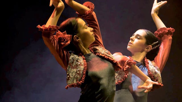 Gala VIII Baile Flamenco Puro de Turí...