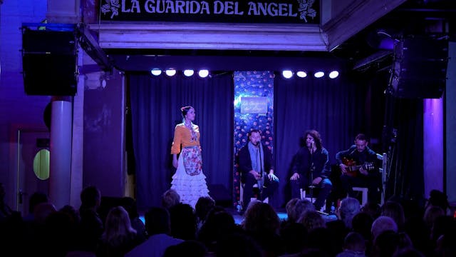 Marta de Troya por tarantos. VII Jere...