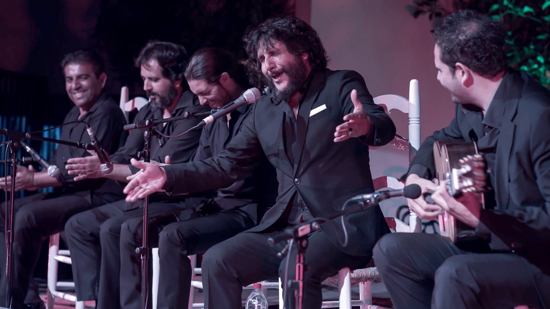 Antonio Reyes. XLIII Festival Flamenco Castillo del Cante