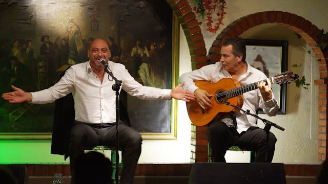 Momo Moneo por fandangos