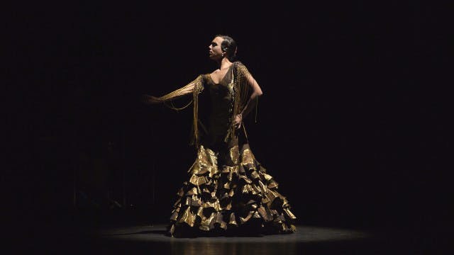 Voz. Alegrías. Tierra, Flamenco y Voz