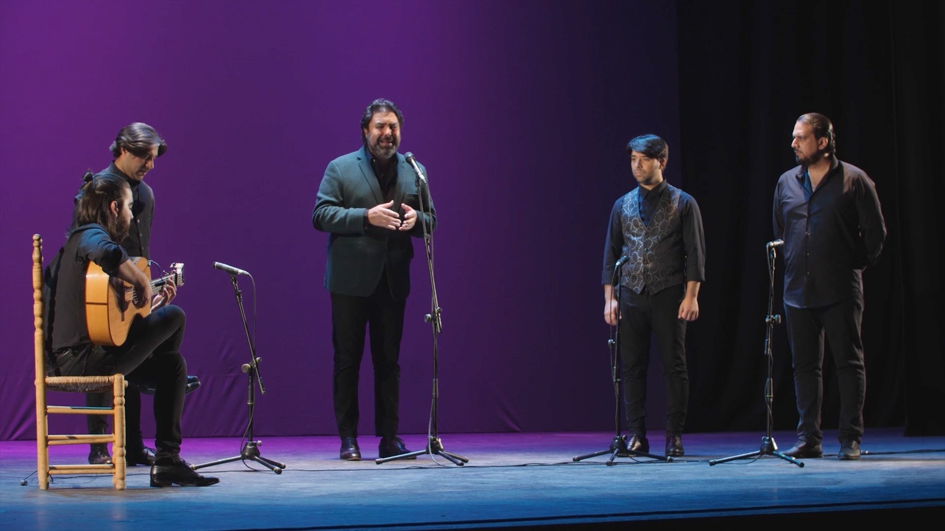 Malagueñas y abandolaos. Gala aniversario dedicada a Granada