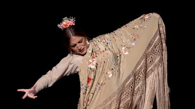 Paula Moreno. Noche de baile en el pa...