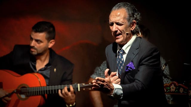 Raíces y Pureza. Paco Manano. II Flam...