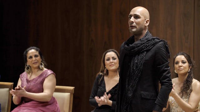 Van los gitanos. Zambomba Flamenca de...