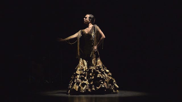 Voz. Alegrías. Tierra, Flamenco y Voz