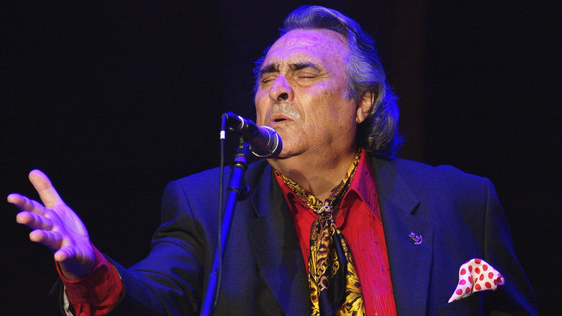 José de la Tomasa por fandangos. 23 Festival de Jerez