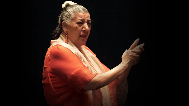 Bulerías. Tia Juana la del Pipa