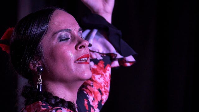 Marta de Troya por seguiriyas. VII Je...