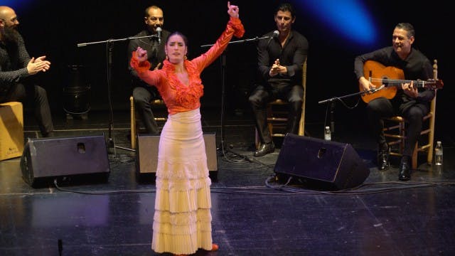 Alegrías. Olga LLorente. Silla de Oro