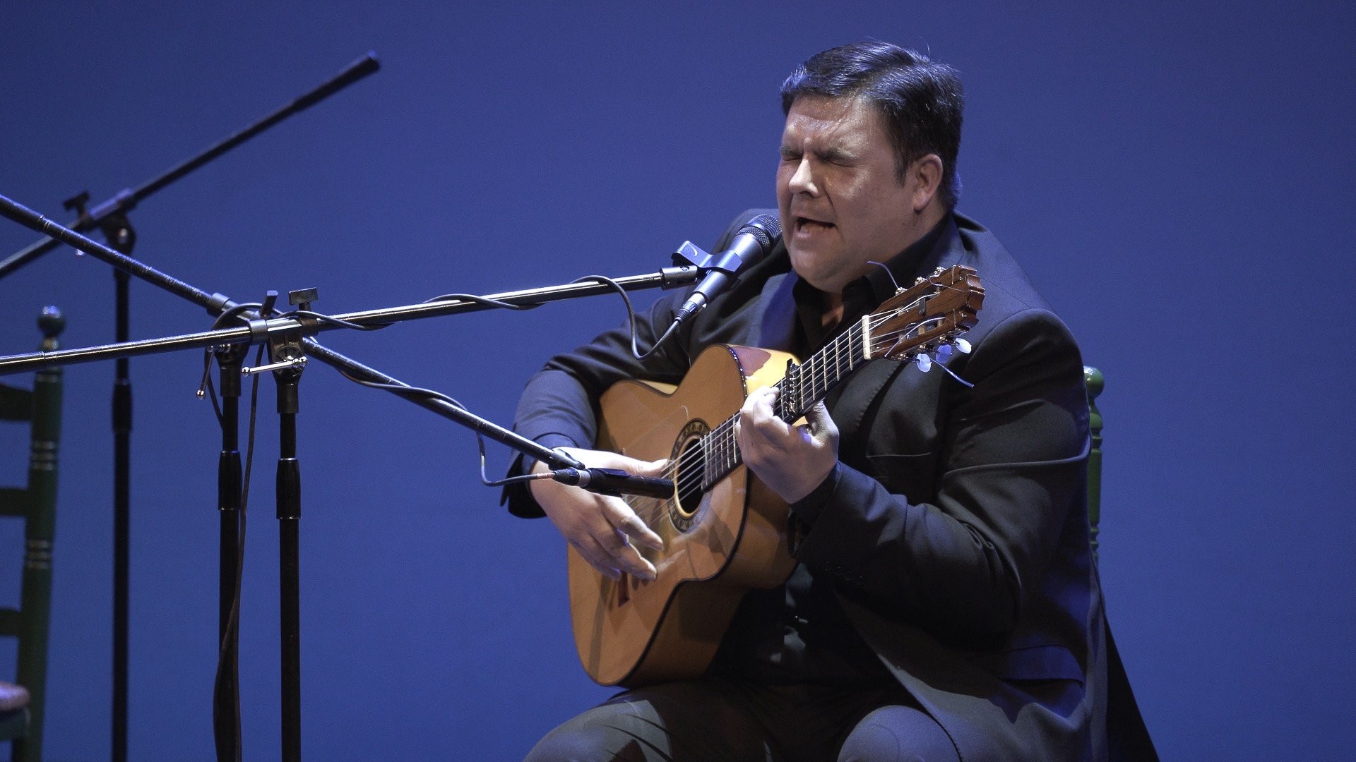 +Que Flamenco. Ricardo Fernández del Moral