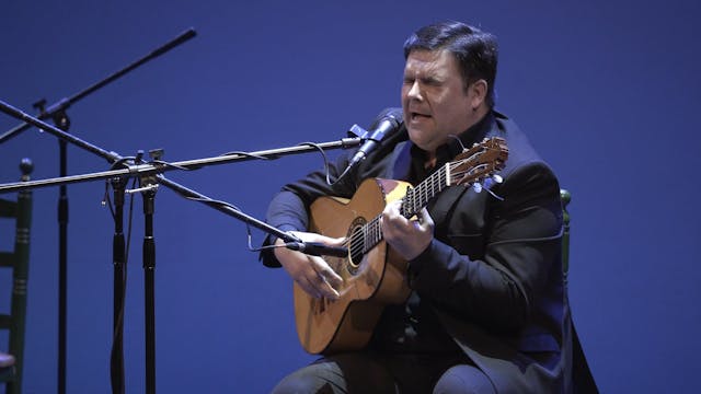 +Que Flamenco. Ricardo Fernández del ...