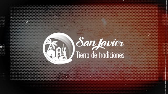 Vivamos el Flamenco con José Lucena