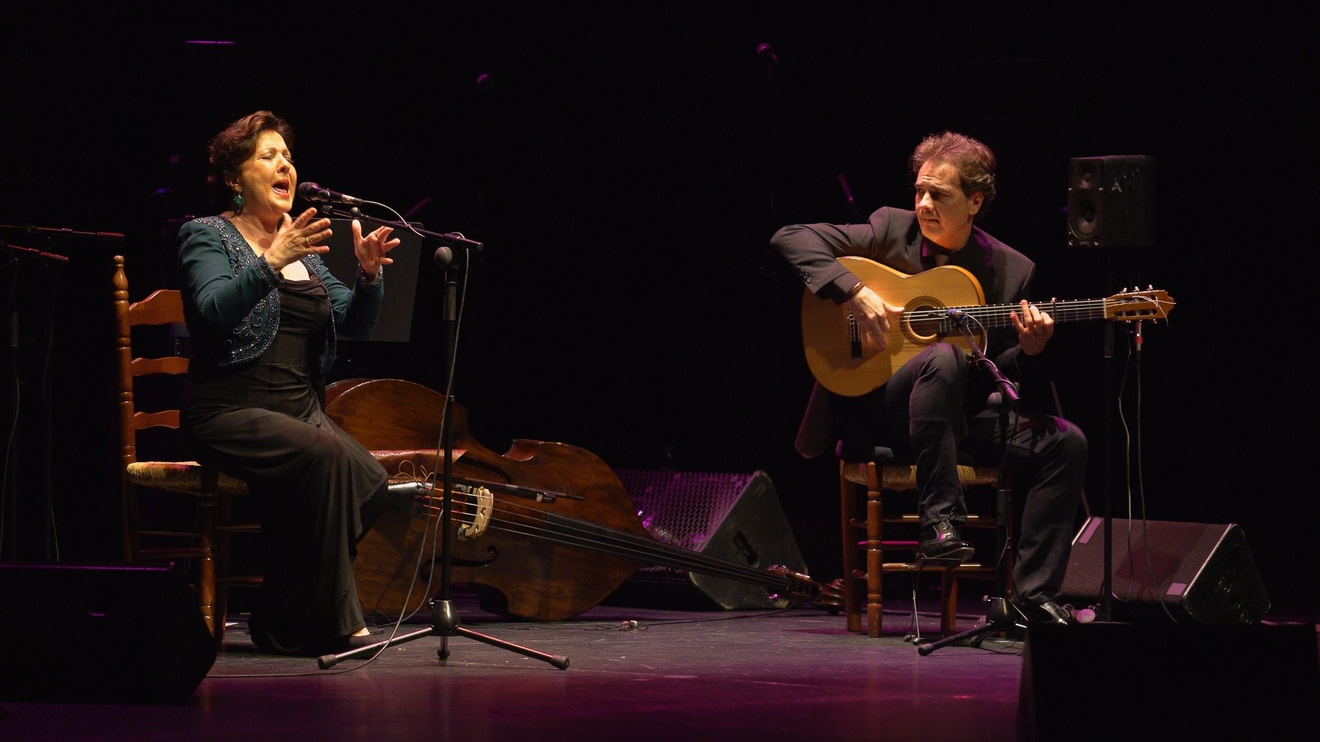 Todas las casas son ojos. Concierto Verso a Verso