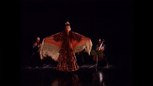 Cavilaciones. Sombra y Luz. Parte 1