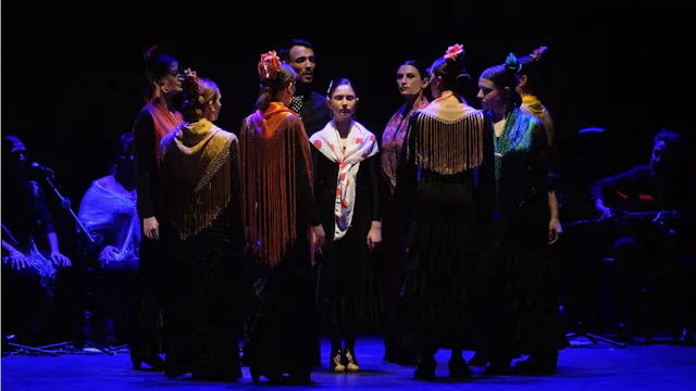 Alegrías. Gala Baile Flamenco Puro de...