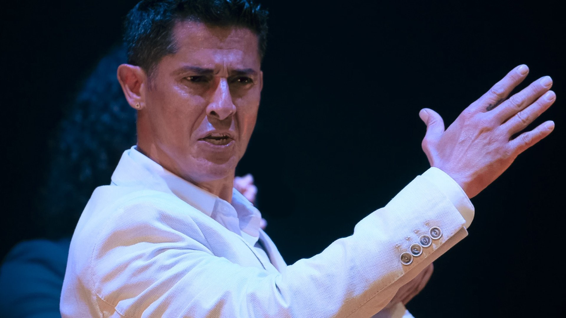 Puro. Rafael Campallo. 26 Festival de Jerez