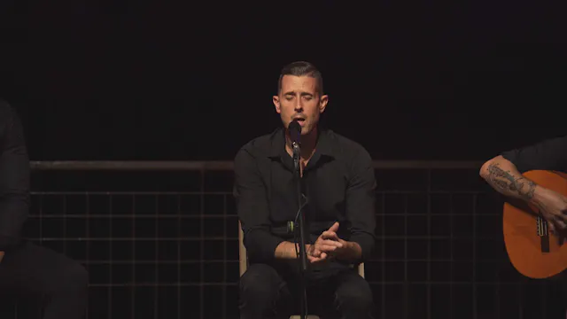 Raúl Beneyto por alegrías. VI Festiva...