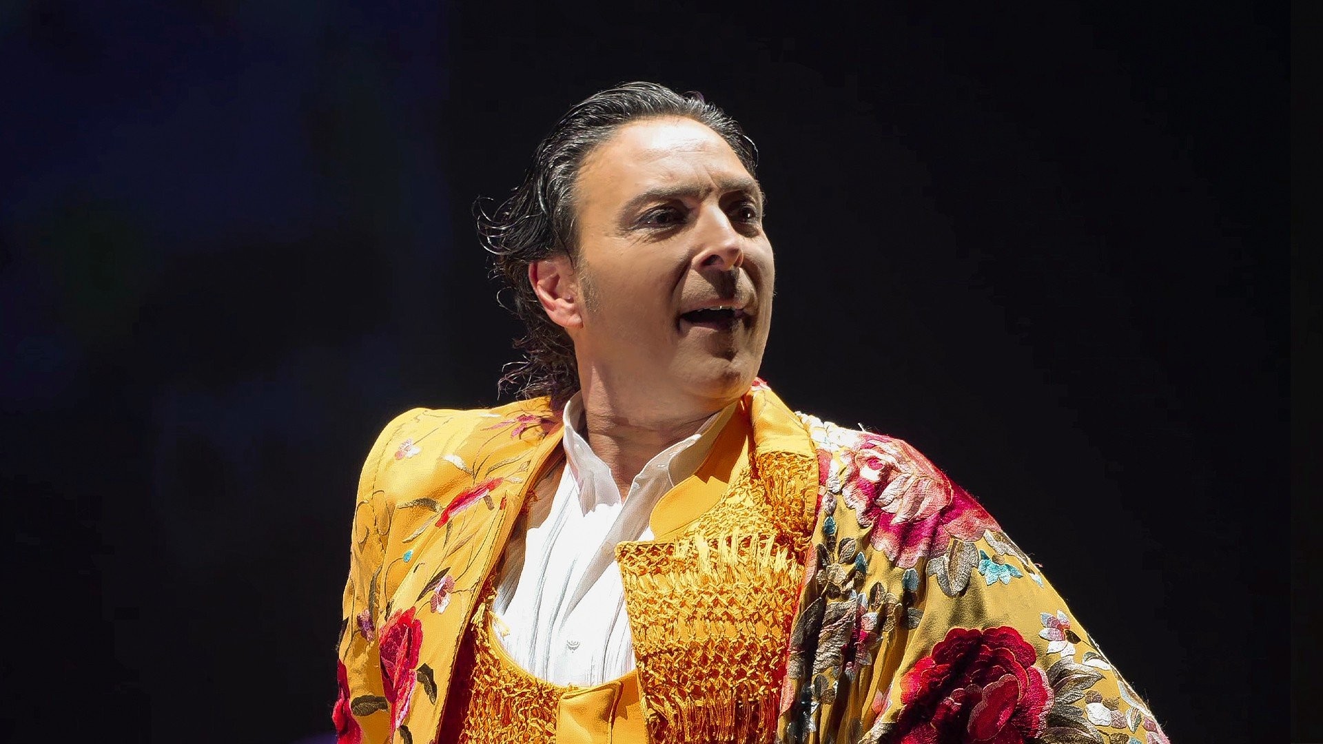 Bodas de Plata. Antonio El Pipa. 26 Festival de Jerez