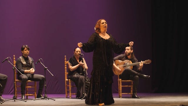 Soleá por bulerías. Gala aniversario ...