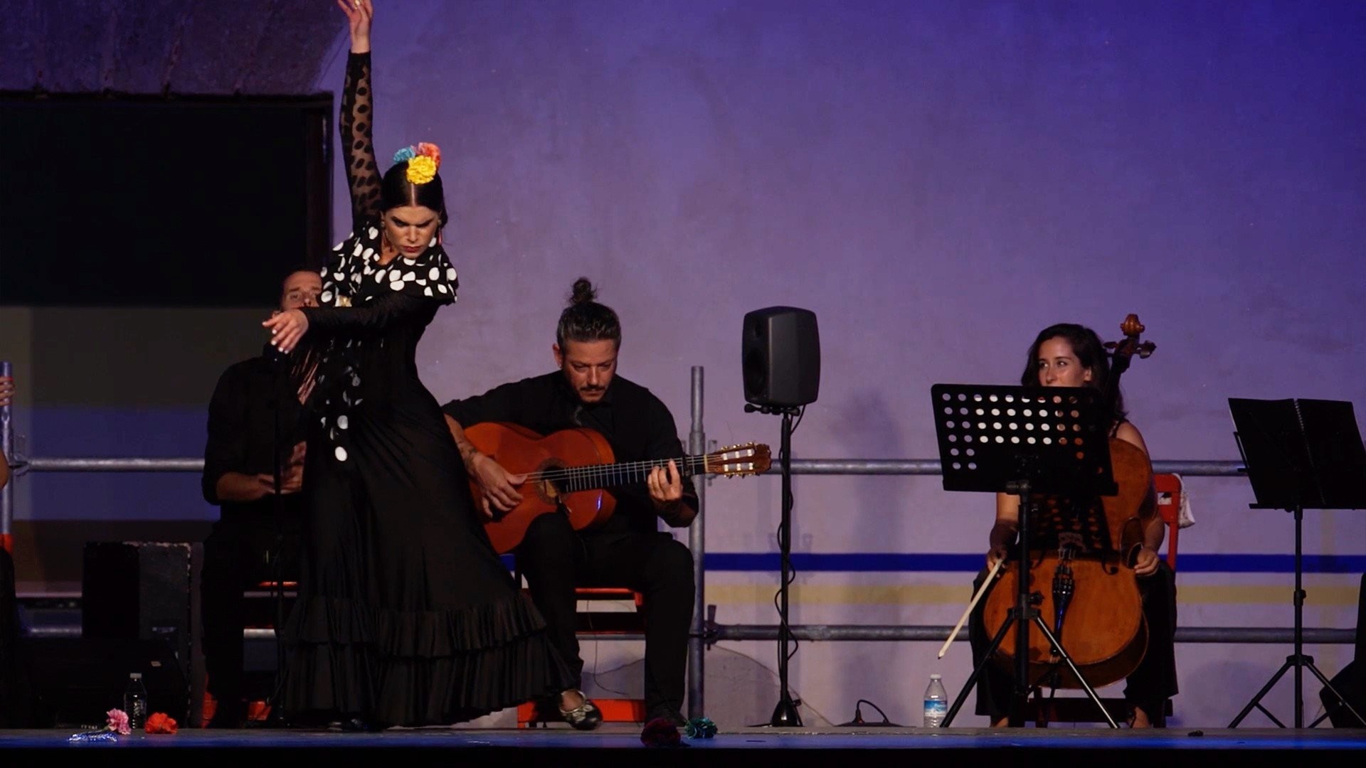 Bulerías fin de fiesta. Flamenco Puro