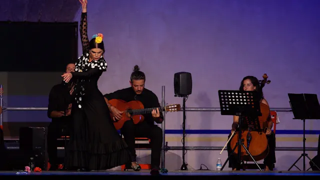 Bulerías fin de fiesta. Flamenco Puro
