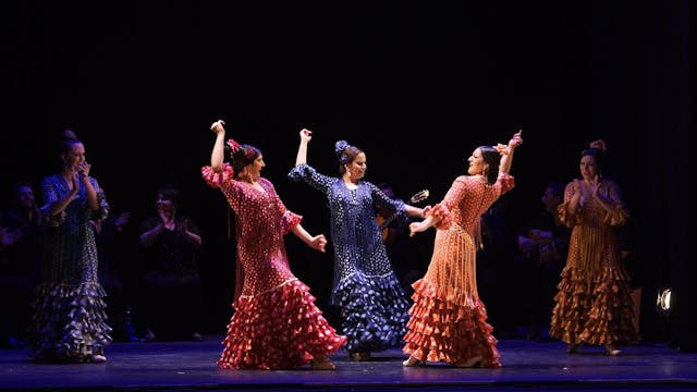 Baile Flamenco Puro de Turín. V Gala ...