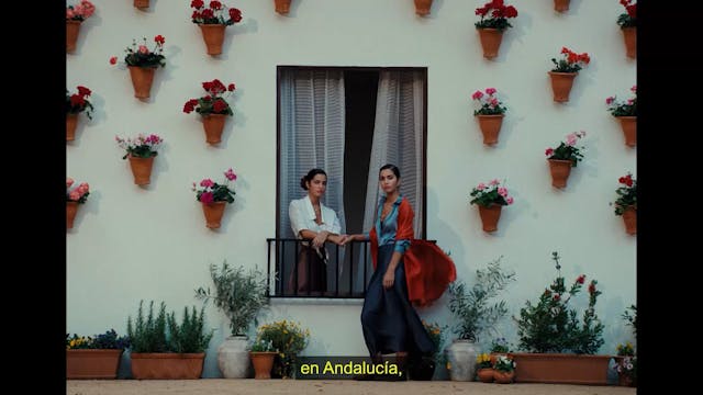 Spot Andalusian Crush 2025