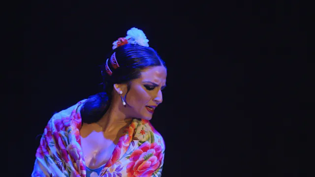 Maise Márquez por alegrías. Baile Fla...