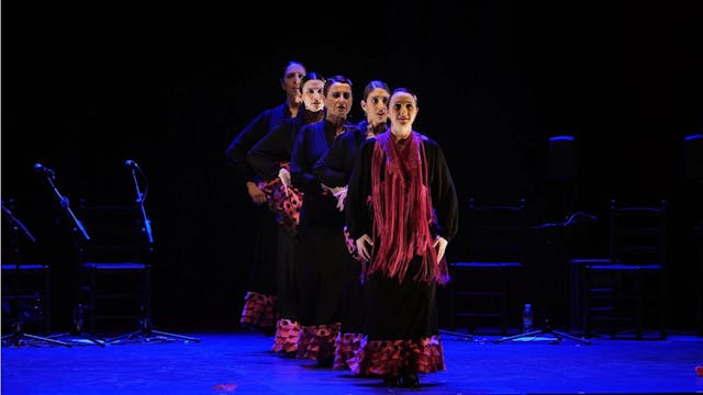 Tangos de Granada. Gala Baile Flamenc...