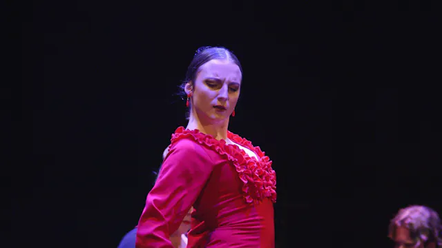 Baile Flamenco Puro de Turín. 23 Fest...