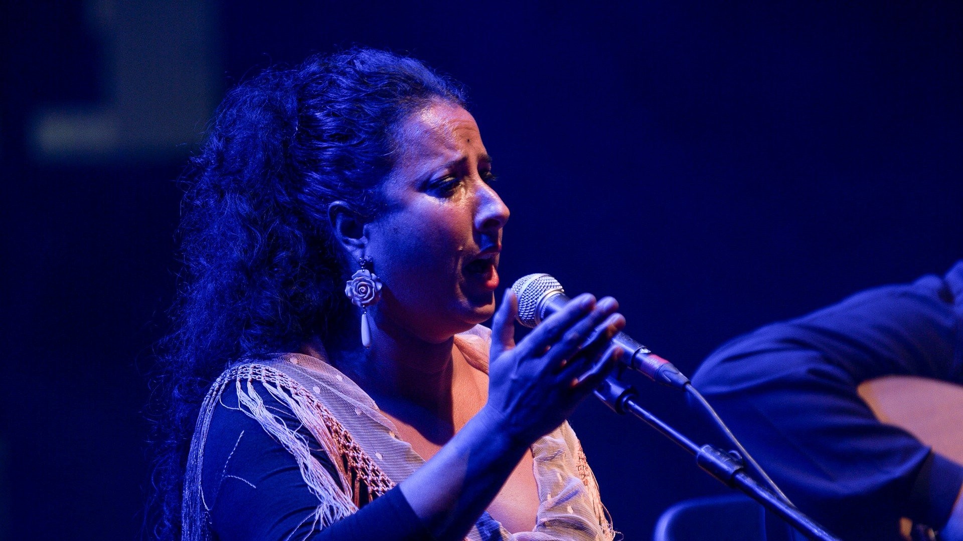 Seguiriya. De Bulería en Bulería. Festival Flamenco Mediterráneo