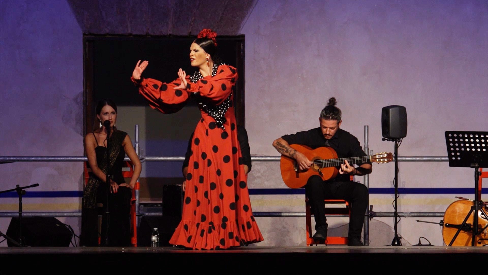 Paula Sierra. Flamenco Puro