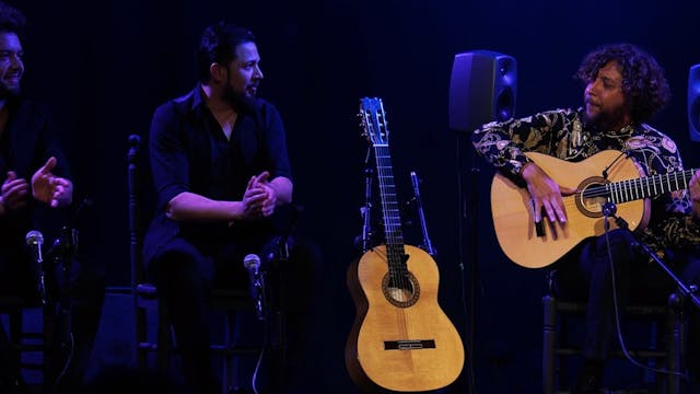 Pepe del Morao. 23 Festival de Jerez