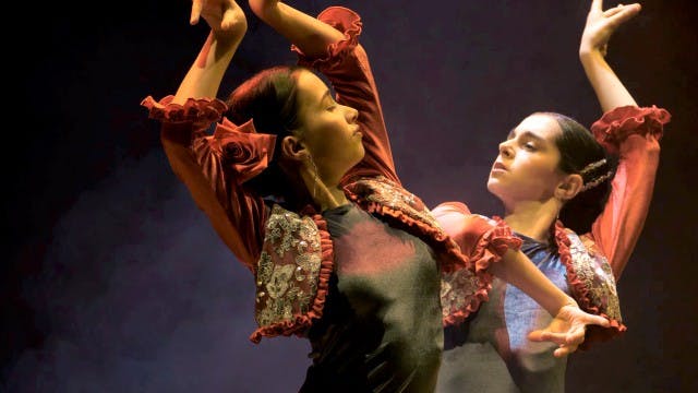 Gala VIII Baile Flamenco Puro de Turí...