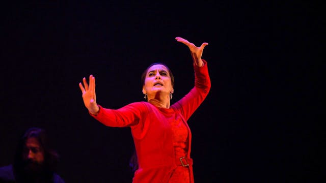 Nacida sombra. Rafaela Carrasco. 22 F...