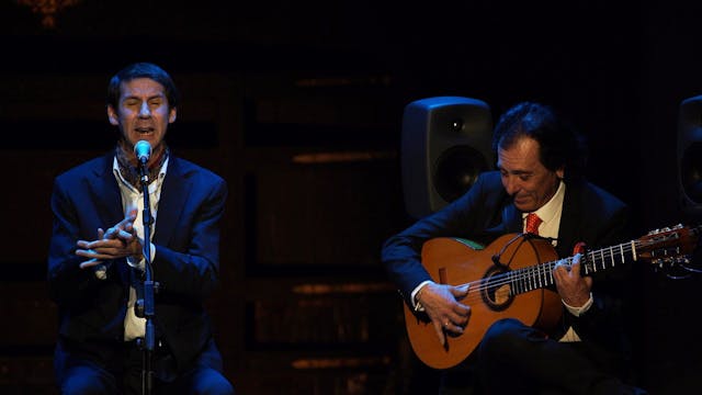 Perico Pañero por soleá. 23 Festival ...