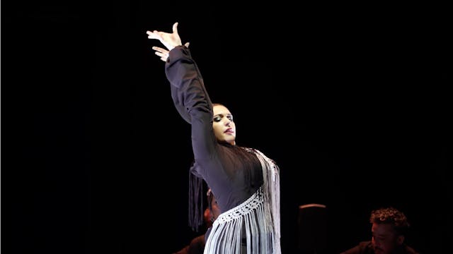 Irene Gneri. Gala Baile Flamenco Puro...