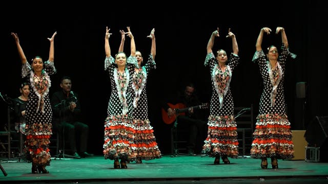 Grupo Elena Vicini por alegrías. Bail...