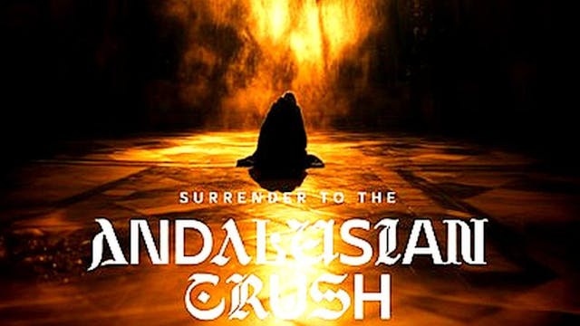 Spot Andalusian Crush 2025