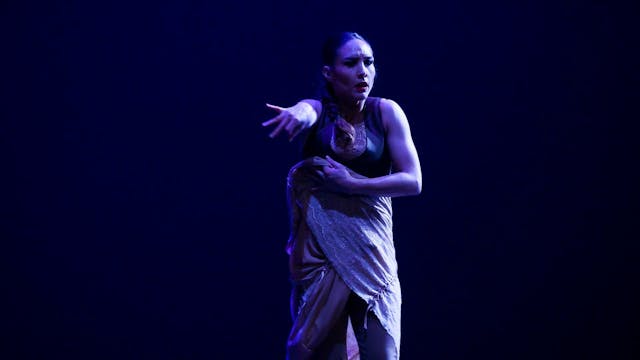 Zayas en el Camino. Nacida sombra. 22...