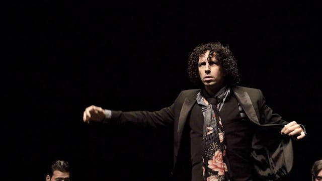 Raúl Ortega por seguiriyas