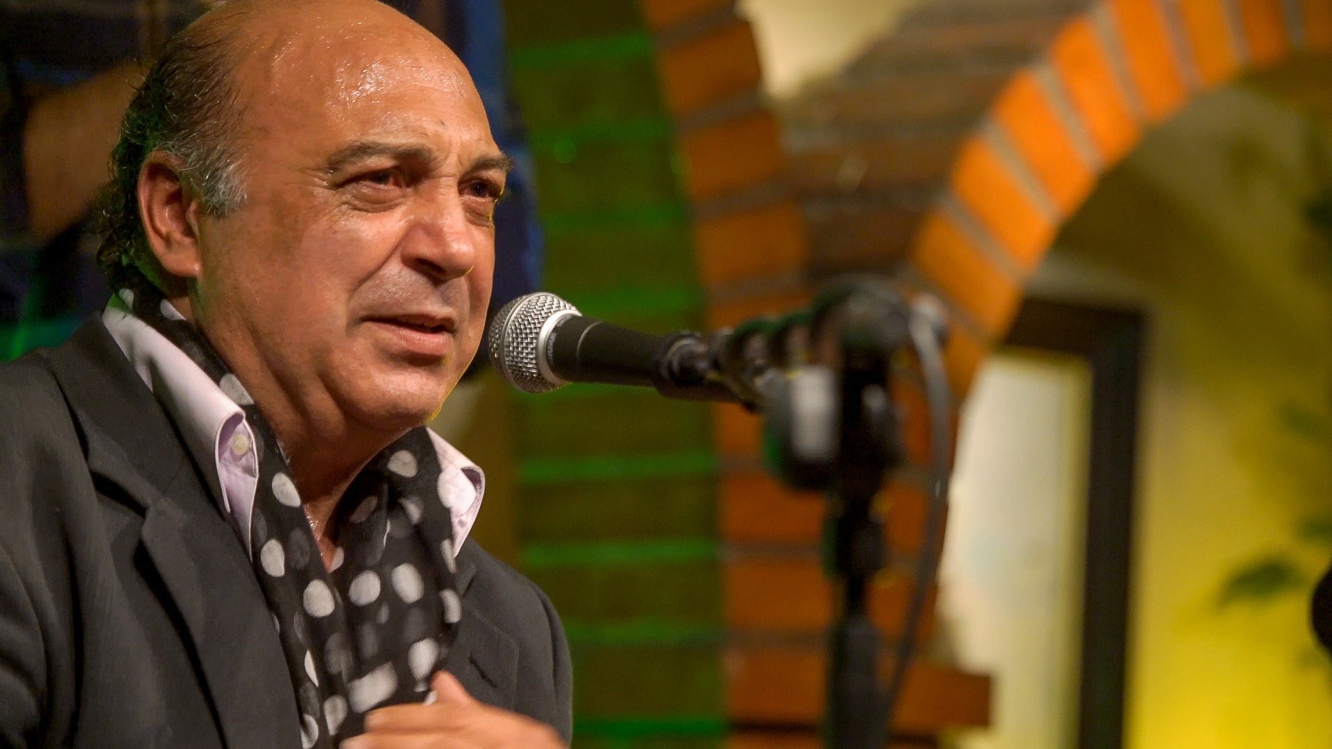 Momo Fajardo. Recital de cante